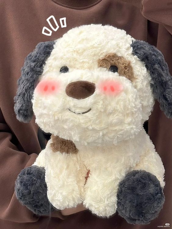 Gấu teddy giá hời